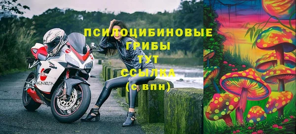 мдпв Володарск
