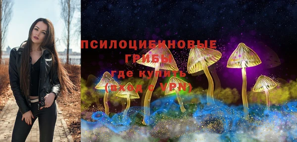 мдпв Володарск