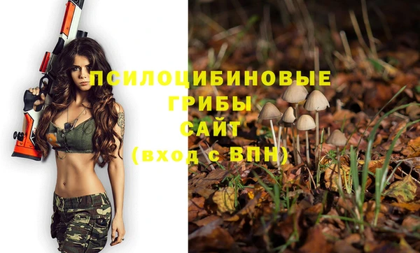 не бодяженный Волосово
