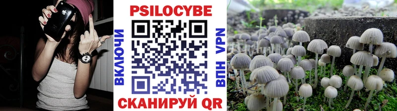Галлюциногенные грибы Psilocybine cubensis  где можно купить наркотик  blacksprut как войти  даркнет как зайти  Камешково 